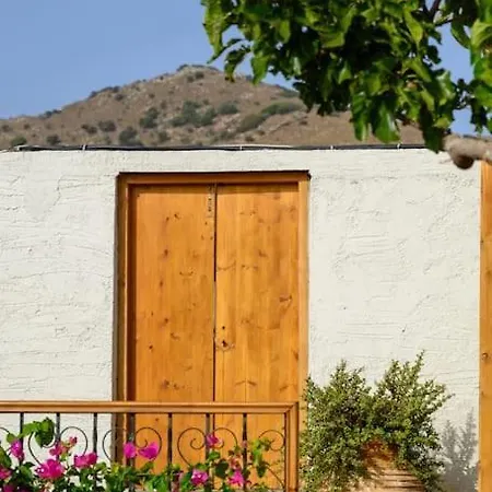 The Nektar House