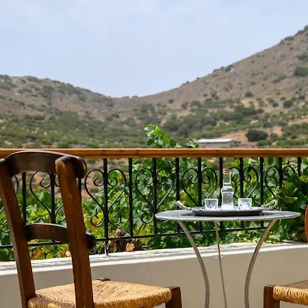The Nektar House Tatil Evi
