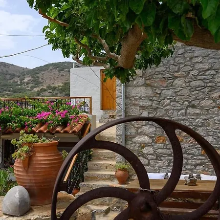 Tatil Evi The Nektar House