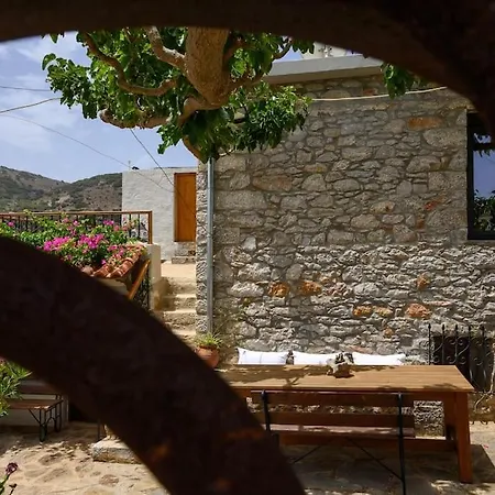 The Nektar House *